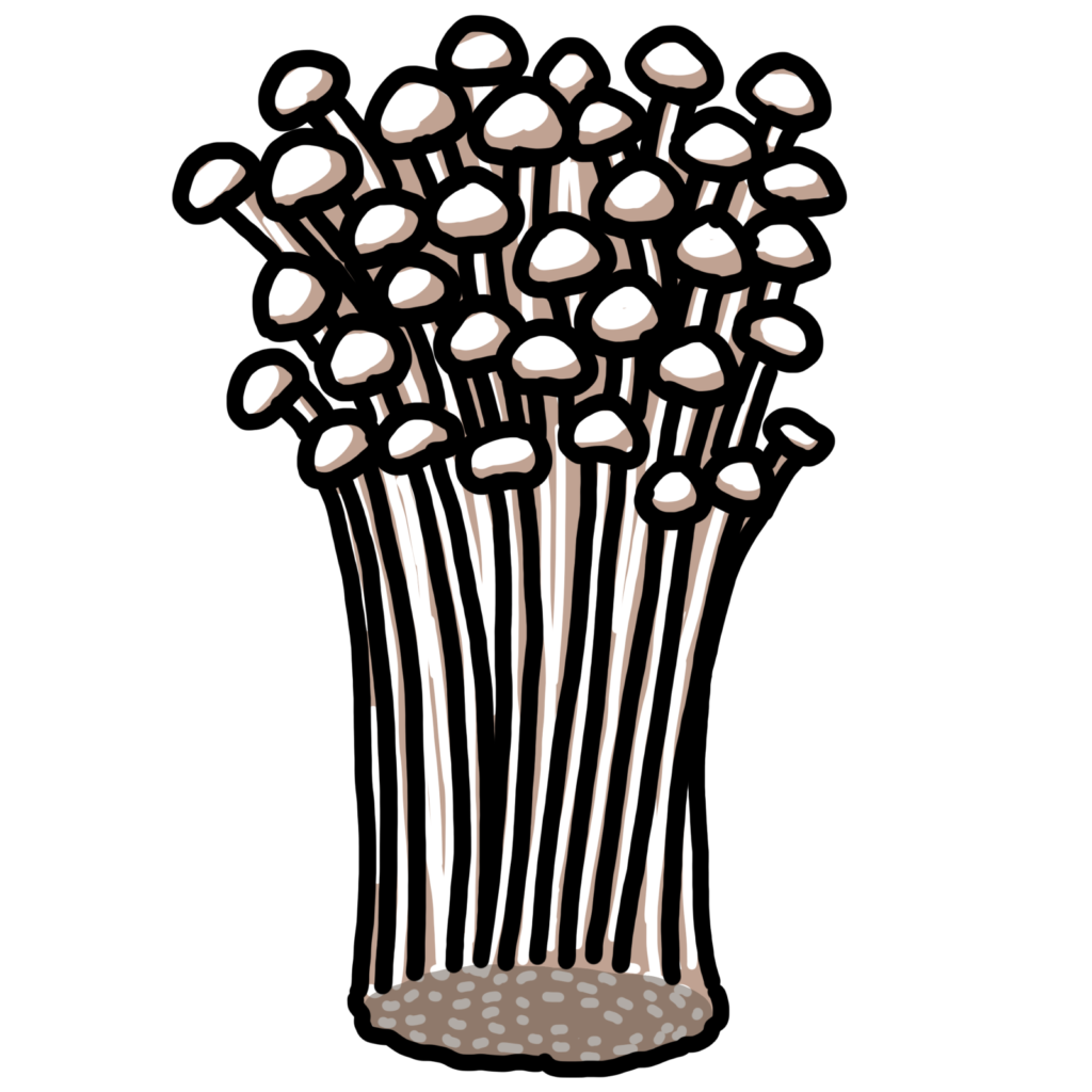 えのきだけ-すき焼きの具材