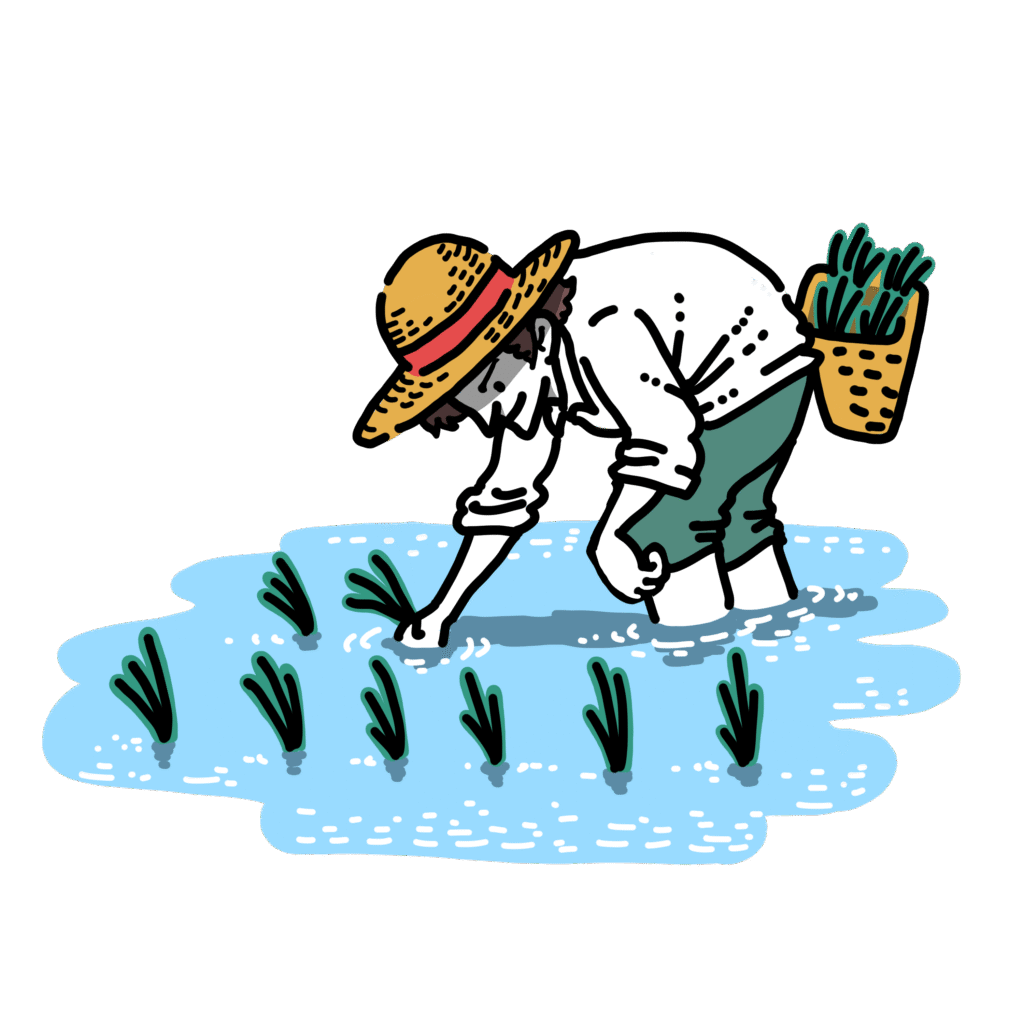 田植え