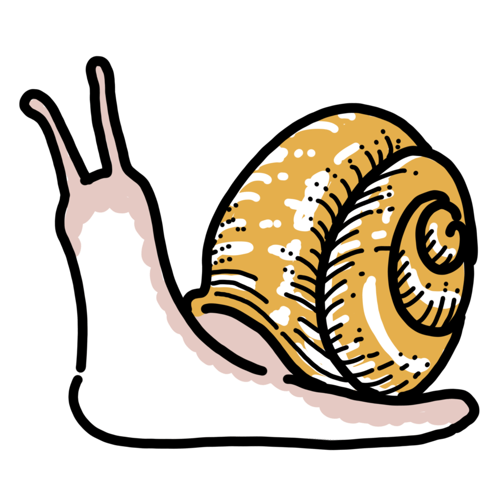 カタツムリ