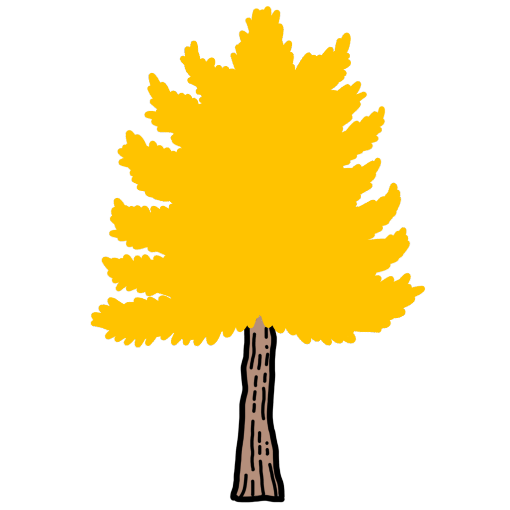 イチョウの木-1