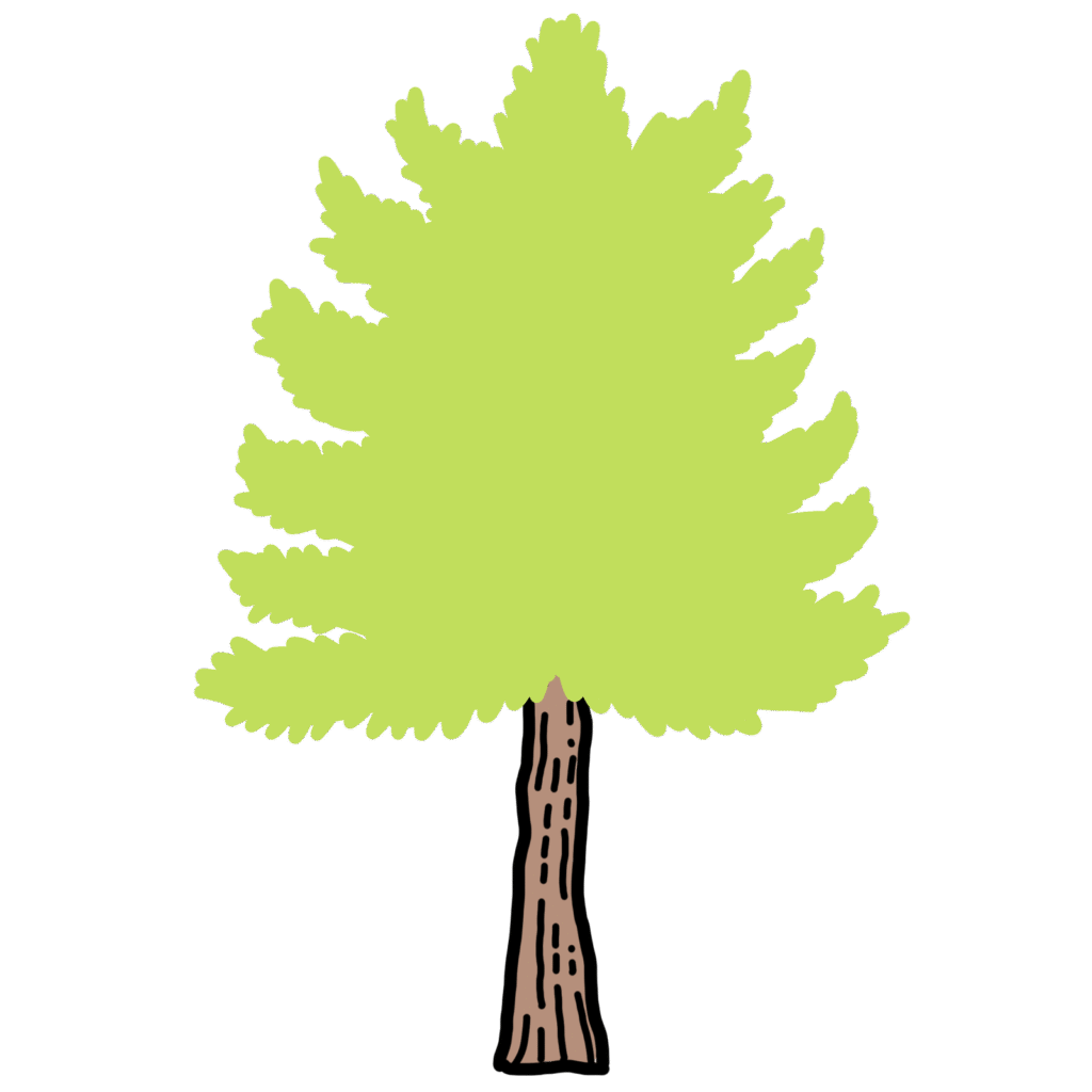 イチョウの木-3