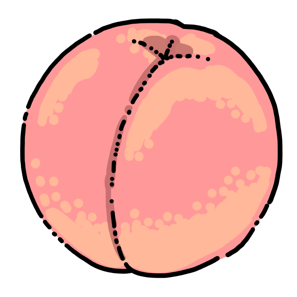 momo-free